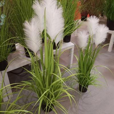 China 2021 AMAZONE's best seller 110cm artificial pampas for home decoration PP012 for sale