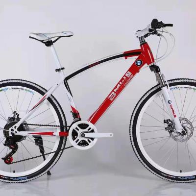 China 2021 popular street woman mountain bike for sale for sale