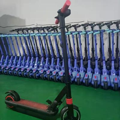 China 10 Inch E-scooter Adult Scooter Low Price High Quality Scooter Unfold 109*472*1146MM for sale