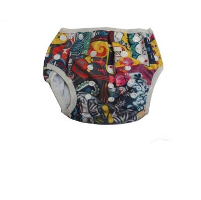 China Reusable Printed Baby Swim Diaper Swim Pants for sale