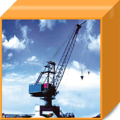 China High Power 40t Shipyard Portal Crane for sale