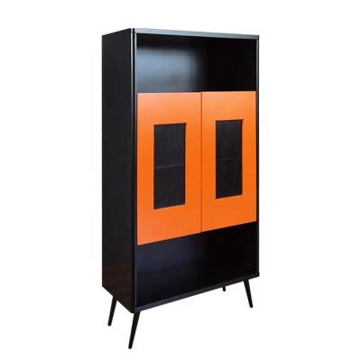 China Eco-friendly Modern Home Storage Cabinet Living Room New Design Furniture With Iron Net for sale