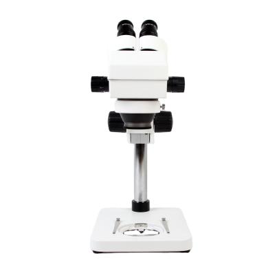 China Cheapest Fixed Stereo Microscope 40X Microscope For Mobile Phone Repair School zu verkaufen