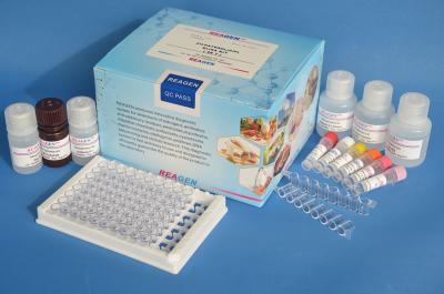 China Precisão fina de Elisa Kit High Repetitive 90% do teste do Kanamycin do ADN do plasmídeo à venda