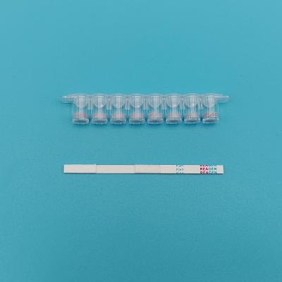 China Kit de prueba de tiras de kanamicina de plástico de alta sensibilidad blanca con resultados instantáneos en venta