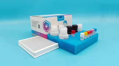 Cina Kit di prova ELISA per nitrofurantoina rapida (AHD) Con un limite di rilevamento basso e di recupero elevato in vendita