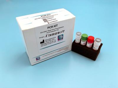 China Echtzeit-Fluoreszenz-PCR-Detektions-Kit für In-vitro-Diagnostikprodukte zu verkaufen