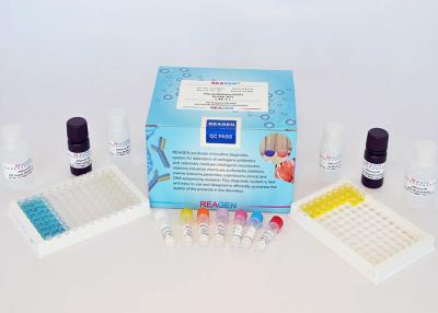 Cina Kit di prova per residui di farmaci ad alta riproducibilità Kit di prova ELISA per cloranfenicolo (CAP) in vendita