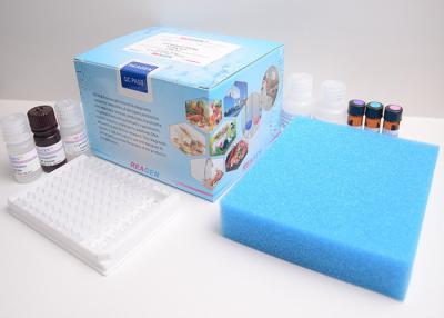 China High Sensitive L-Carnitin Colorimetric Assay Kit Milchpulver-Testsatz zu verkaufen