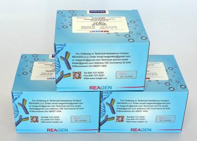 Κίνα Μετρονιδαζόλη ELISA Test Kit Μεγάλη ανάκτηση (70% - 95%) Χρησιμοποιείται για ορό / γάλα προς πώληση