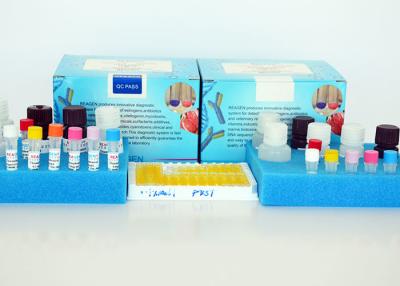 China Nitrite ELISA Test Kit Cuvette-basierte enzymatische Untersuchung für Wasser/Milchprobe zu verkaufen