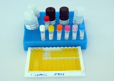 China High Recovery Rate Estrogen ELISA Kit / Diazepam ELISA Testing Kit for sale