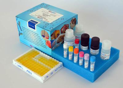 China Methyltestosterone ELISA Test Kit Rapid Detect Competitive Enzyme Immunoassay for sale