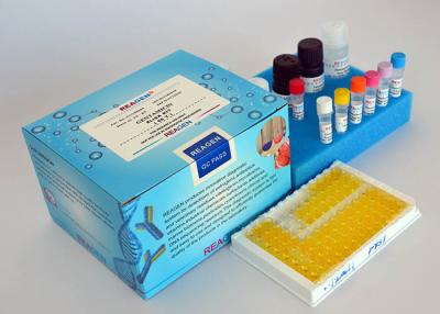 China High Sensitivity Chlormadinone ELISA Test Kit For Accurate Quantitative Detection for sale