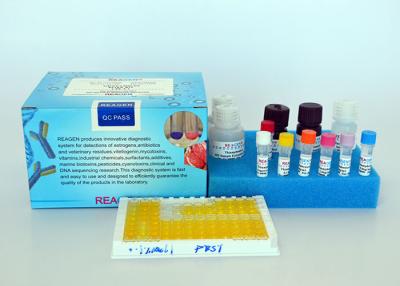 China Accurate Oestrogeen ELISA Kit Trenbolon ELISA Test Kit Voor Vlees Vissen Garnalen Proef Te koop