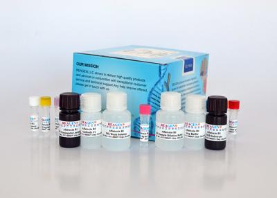 China Antibiotika mit schneller Reaktion Sulfadiazin ELISA Test Kit Enzym Immunanalyse zu verkaufen