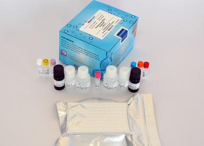 Chine Kit d'essai ELISA pour le thiamphénicol Évaluation rapide ELISA à haute sensibilité (0,1 Ng/G ou ppb) à vendre