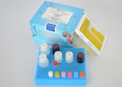 Chine Détection de l'innocuité alimentaire du kit de test ELISA de la ofloxacine avec un taux de récupération élevé à vendre