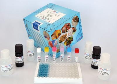 Κίνα Κίτ Deoxynivalenol (DON) Column Kit Mycotoxin ELISA Kit για την ανάλυση τροφίμων και ζωοτροφών προς πώληση