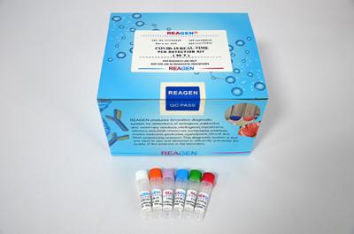 China Kit de detecção de PCR por fluorescência de ANVISA IVD liofilizado 40T/caixa à venda