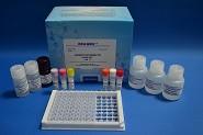 China 0.5ppb Rapid Tetracycline ELISA Test Kit For Fish / Shrimp for sale