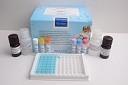 China Lector portátil de microplacas Elisa con pantalla LCD grande en venta