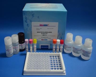 China Kanamycin ELISA Test Kit Drug Plasmid Detection With TMB Substrate for sale