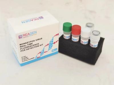 China Hohe Empfindlichkeit Monkeypox PCR-Test-Kit Fluorescence Real Time PCR-Entdeckungs-Ausrüstung zu verkaufen