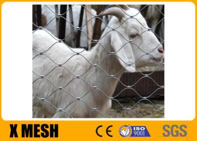 China SS316 Inox Cable Webnet Stainless Steel Rope Mesh X Tend For Protection Animal for sale