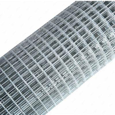 China Garden Fence Stainless Steel Electro Galvanized Hot Dipped Galvanized Welded Wire Mesh Rolls for sale