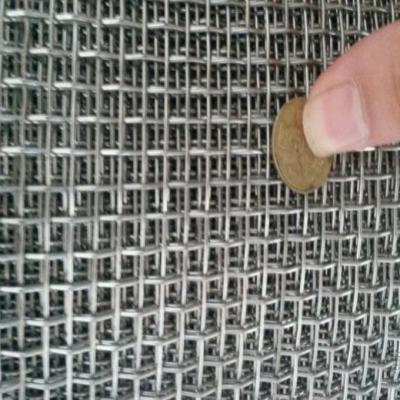 China High Quality Crimped Wire Mesh for Mining and Coal for sale