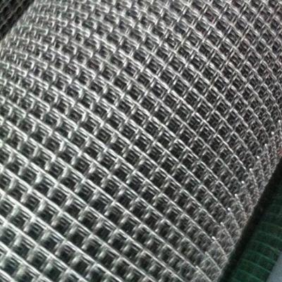 China Heavy Duty Plain Crimped Woven Wire Mesh 316l Ss Stainless Steel for sale