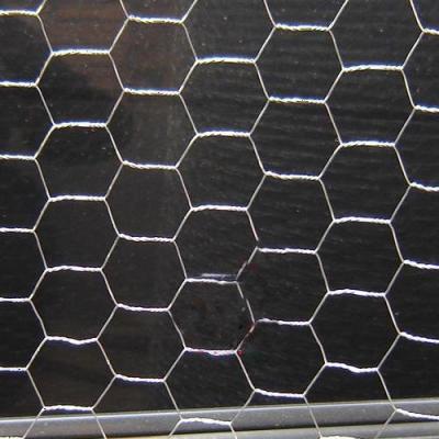 China Weaving Hexagonal Wire Mesh Hexagonal Livestock Wire Netting With Hexagon Holes For Chicken Duck Goose for sale