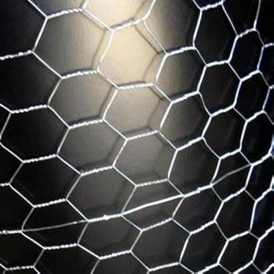 China PVC Galvanized Poultry Farms Fence/Hexagonal Wire Netting/Chicken Wire Mesh for sale