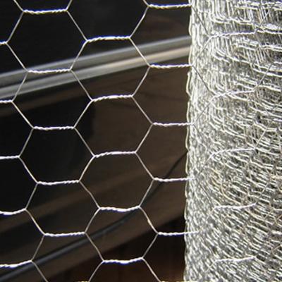 China Hexagonal Wire Mesh Roll Poultry Fencing Chicken Coop Galvanized Wire Mesh for sale