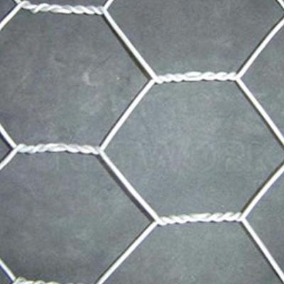 China Hot Sale PVC Coated Galvanized Hexagonal Iron Wire Mesh for sale