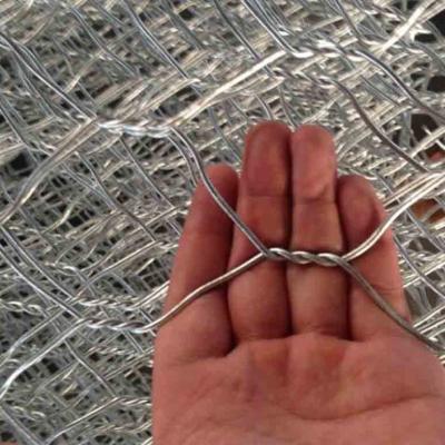 China 10mm Mesh PVC Coated Hexagonal Woven Steel Wire Mesh for sale