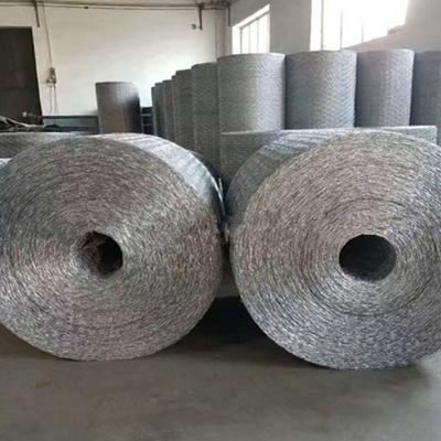 China Weave Mesh Chicken Hex Wire Mesh Netting Hexagonal Wire Mesh for sale