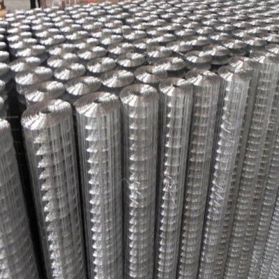 China Galvanized Powder Coated Welded Air Vents Stainless Steel Welded Wire Mesh for sale