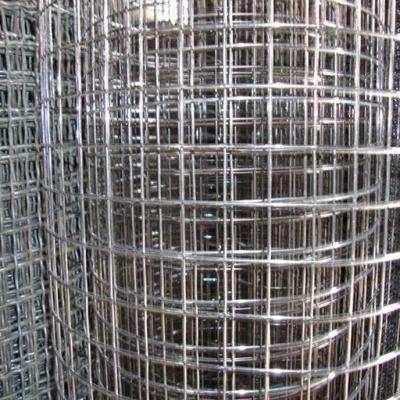 China Galvanized Welded Wire Mesh for Fencing with Factory Price for sale