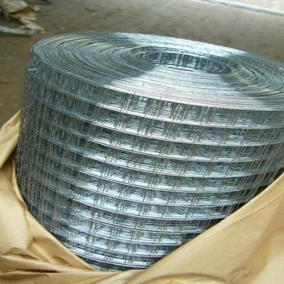 China Galvanized/SUS304/SUS316 Stainless Steel Welded Wire Mesh for Wire Mesh Basket for sale