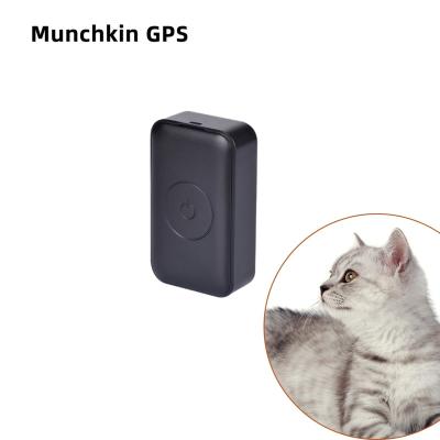 China Track+History Trace Playback +Geo-Fence GPS Tracker For Dogs And Cats With Microphone And Voice Monitoring Function Outdoor Accuracy 10 Meters And 7 Days Standby for sale