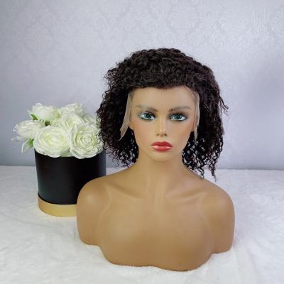 China Cheap Sale $29 Curly Shop New Super Curly Wigs 13X4 Lace Front Human Wigs Kinky Curly Hair Wig 100% pcs only 1 pcs available for sale