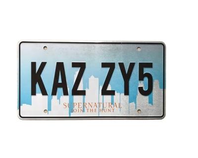 China custom plastic license plate with 3d 6 inch by 12 inch for sale