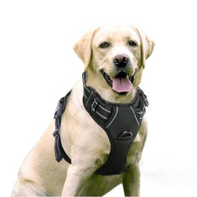 China Factory direct reflective luxury direct pet vest harness chest strap dog vest safe harness for sale