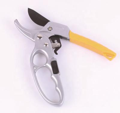 China Fruit Handle Scissors Fruit Tree Branch Pruning Scissors Ratchet Gardening Shears Labor-saving Wholesale Anti-skid Branch Scissors for sale