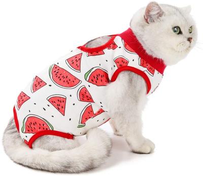 China Sustainable Recovery Suit Sterilize, Cat Recovery Suit For Injuries Or Abdominal Skin Diseases Cat Clothes for sale