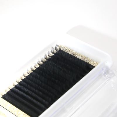 China Wholesale Box 0.15 Full Volume Eyelash Packaging 0.20 Mixed Lengths J Since Dual Density CC L Classic C D Curl Bulk Eyelash Extension M LC LD for sale