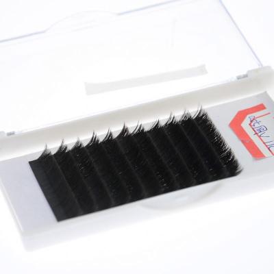 China Korean Volume Full Matte Mink PBT Material Lashes Different Eyelash Extensions for sale