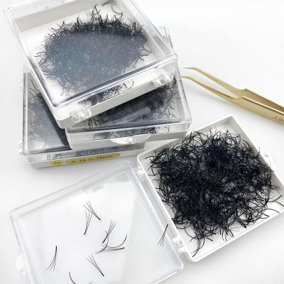 China Full Volume 2D 3D 4D 5D 6D Premade Fans Volume Eyelash Extension for sale